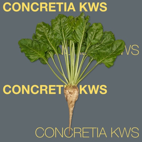 CONCRETİA KWS