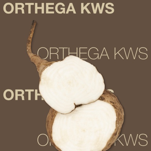 ORTHEGA KWS