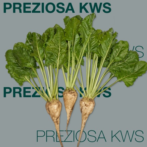 PREZİOSA KWS