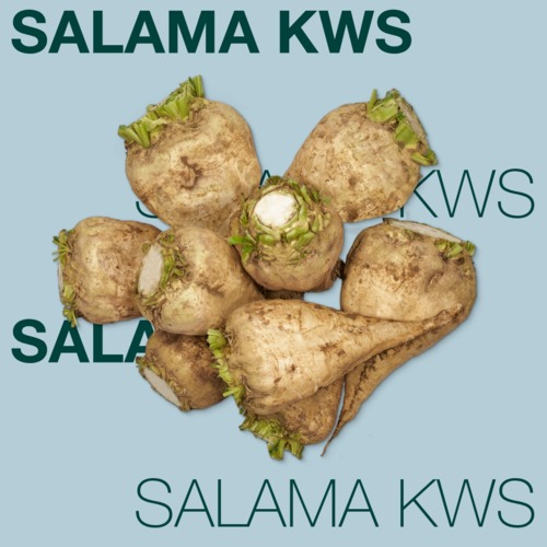 SALAMA KWS