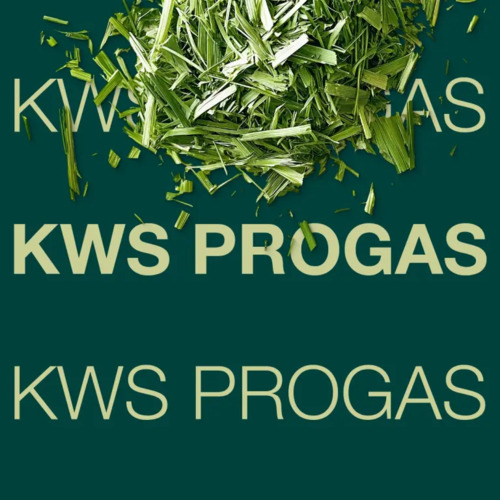 KWS PROGAS