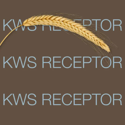 KWS RECEPTOR